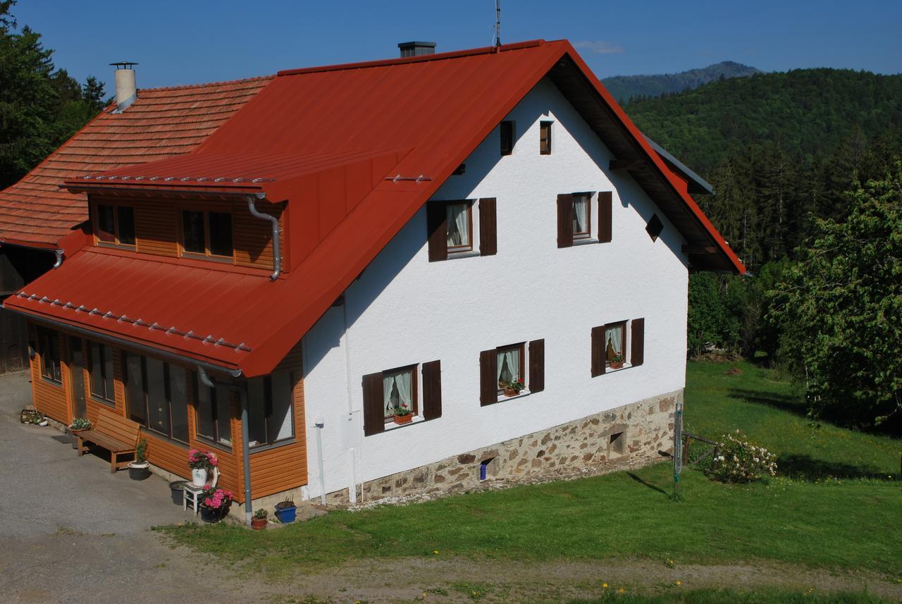 Ferienhaus "Lisa'S Haeusl" 뉴쇼나우 외부 사진
